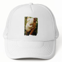 White Koala Bear Baseball hat