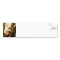 White Koala Bear Bumper Stickers