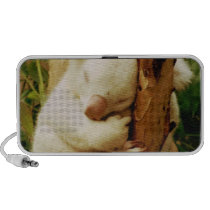 White Koala Bear Portable Speakers