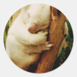 White Koala Bear Stickers