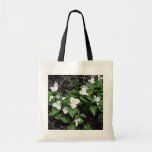white Large-Flowered Trillium (Trillium Grandiflor Bags