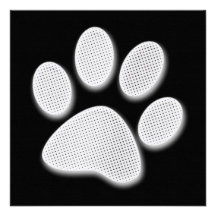 White/Light Grey Halftone Paw Print Announcements