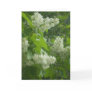 White Lilac card