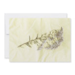 White lilac weed scanned in tissue background invitations