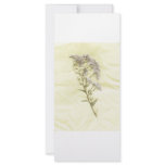 White lilac weed scanned in tissue background rack cards