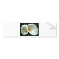 White Lilies Bumper Stickers