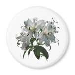 White Lilies magnets