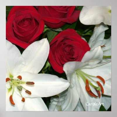 White Lilies Red Roses Art