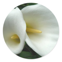 White Lilies Stickers