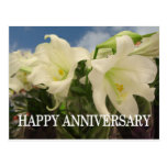 White lillies anniversary post cards