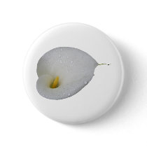 White lily and rain drops pinback button