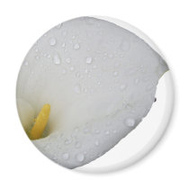 White lily and rain drops fridge magnets