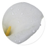White lily and rain drops stickers