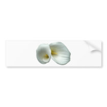 White Lily Bumper Stickers
