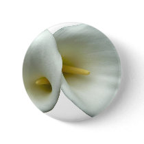 White Lily Button