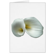 White Lily Cards