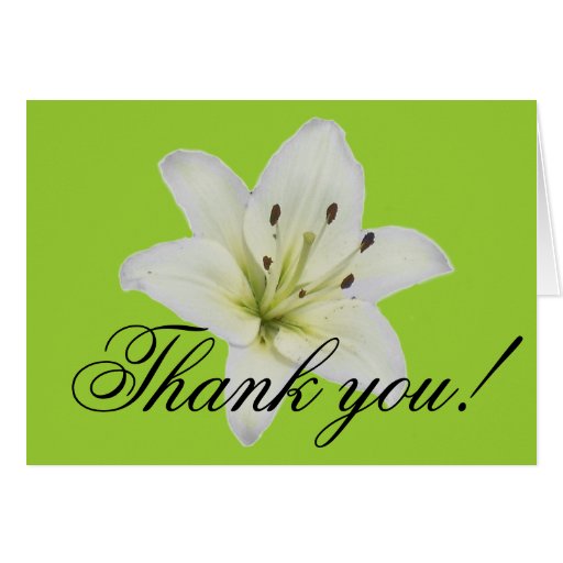 White Lily Card