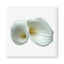 White Lily Refrigerator Magnet