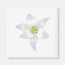 White Lily. Magnets