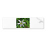 White Lily Mosaic Bumper Stickers