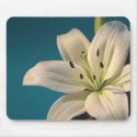 White Lily mousepads