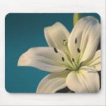 White Lily mousepads