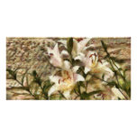 White Lily photo cards