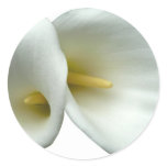 White Lily stickers
