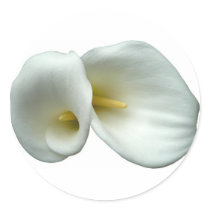 White Lily Round Stickers