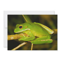 White Lipped Tree Frog Litoria Infrafrenata Personalized Invitation