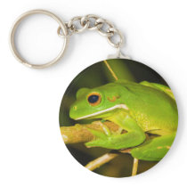 White Lipped Tree Frog Litoria Infrafrenata Key Chains