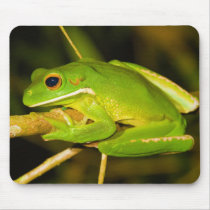 White Lipped Tree Frog Litoria Infrafrenata Mousepads