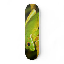 White Lipped Tree Frog Litoria Infrafrenata Skateboard Deck