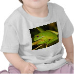 White Lipped Tree Frog Litoria Infrafrenata t-shirts