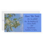White Locust Flowers Wedding Save The Date photo cards