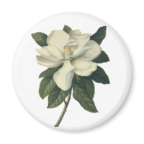 White Magnolia Blossom Magnet