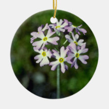 white Mealy Primrose (Primula Laurentiana) flowers Christmas Tree Ornaments