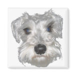 White Miniature Schnauzer Magnet