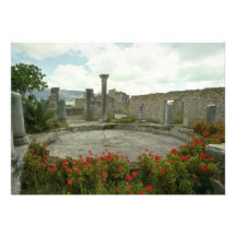 White Morocco, Roman ruin flowers Invitation