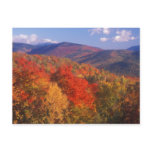 White Mountain Foliage Bear Notch Post Card