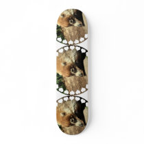 White Nosed Coati Skateboard