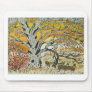 White Oak and Whitetails