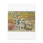 White Oak and Whitetails postcards