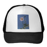 white Opium Poppy (Papaver Somniferum) flowers Mesh Hats