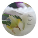 White Orchid Beauty Wedding Invitations Seals stickers