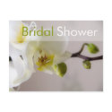 White Orchid • Bridal Shower Invitation Postcard