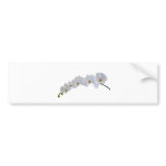 White orchid bumper stickers