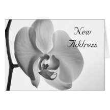 White Orchid Change of Address Card