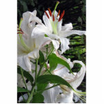white orchid photo sculptures