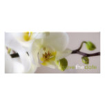 White Orchid • Save the Date Announcement